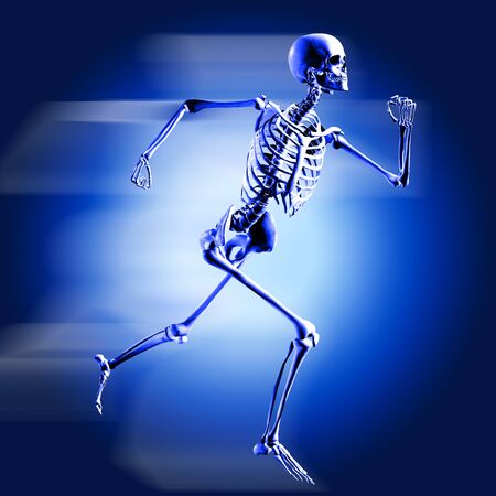 3d medical image with skeletonの写真素材