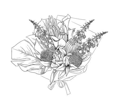 Floral arrangement, hand drawn sketch, vector illustration.のイラスト素材
