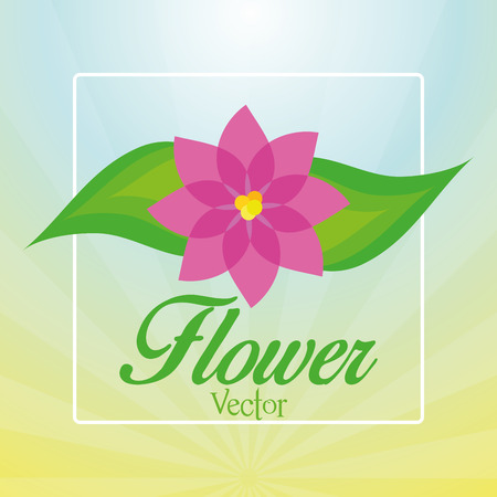 Vector Stylish Colorful Floral Icon On Backgroundのイラスト素材