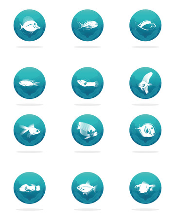 a set of twelve blue round icons with white silhouettes of fishesのイラスト素材