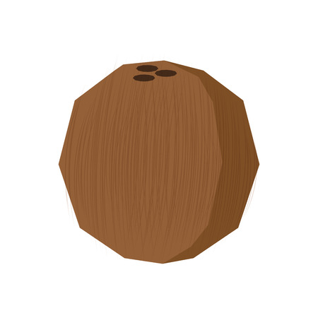 an isolated coconut on a white backgroundのイラスト素材