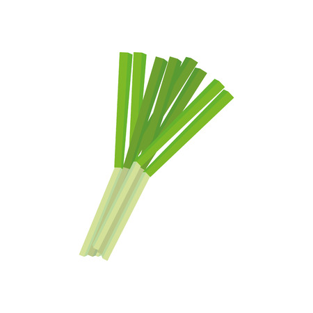 an isolated scallion on a white backgroundのイラスト素材