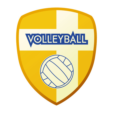 an isolated volleyball emblem on a white backgroundのイラスト素材