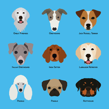Set of different dog breeds on a blue backgroundのイラスト素材