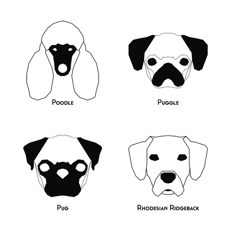 Set of silhouettes of different dog breeds on a white backgroundのイラスト素材
