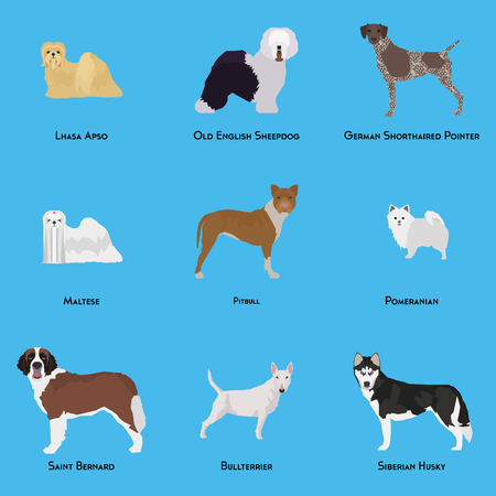 Set of different dog breeds on a blue backgroundのイラスト素材