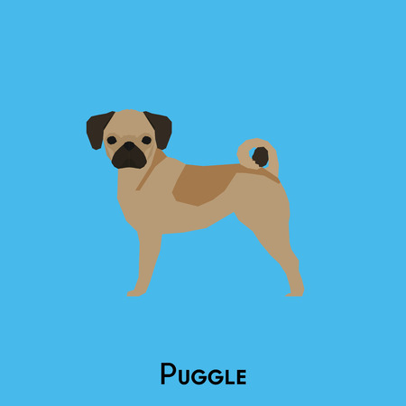 Isolated cute puggle on a blue backgroundのイラスト素材