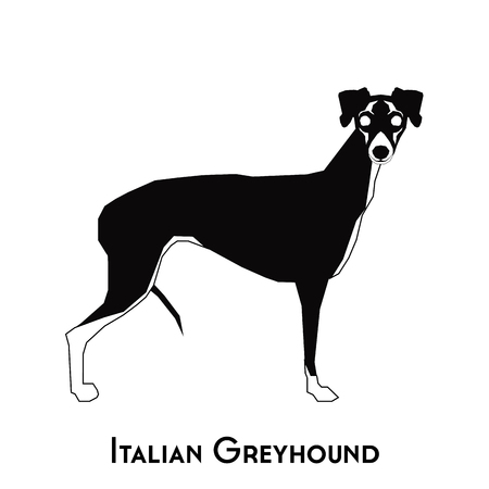 Isolated silhouette of an italian greyhound on a white backgroundのイラスト素材