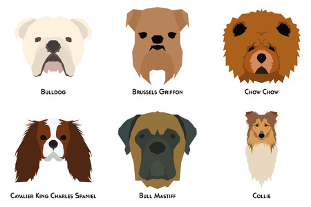 Set of different breeds of dogs on a white backgroundのイラスト素材