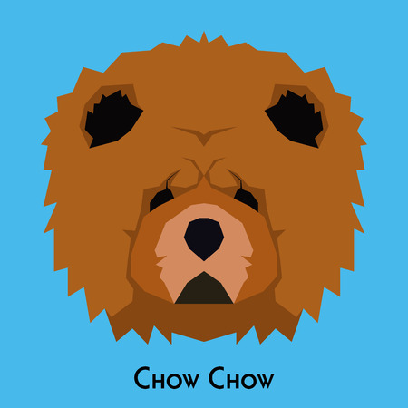Isolated chow chow on a blue backgroundのイラスト素材