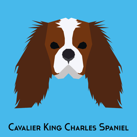 Isolated Cavalier King Charles Spaniel on a blue backgroundのイラスト素材