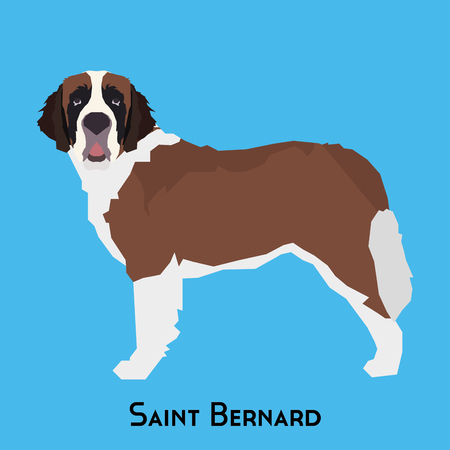 Isolated Saint Bernard on a blue backgroundのイラスト素材