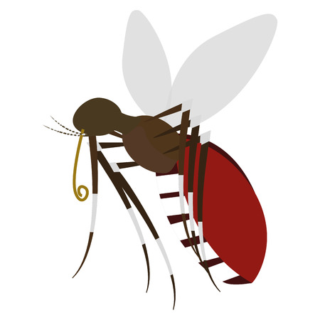 Isolated mosquito on a white background, Vector illustrationのイラスト素材