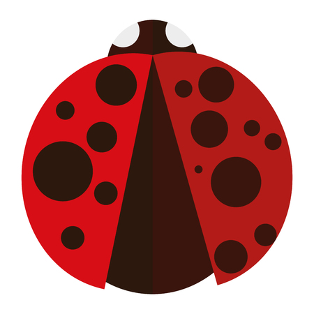 Isolated ladybug on a white background, vector illustrationのイラスト素材