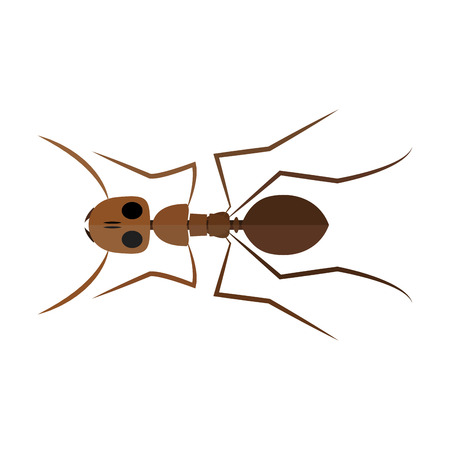 Isolated ant on a white background, vector illustrationのイラスト素材