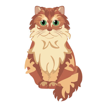 Isolated cat american bob tail breed animals icon - Vectorのイラスト素材