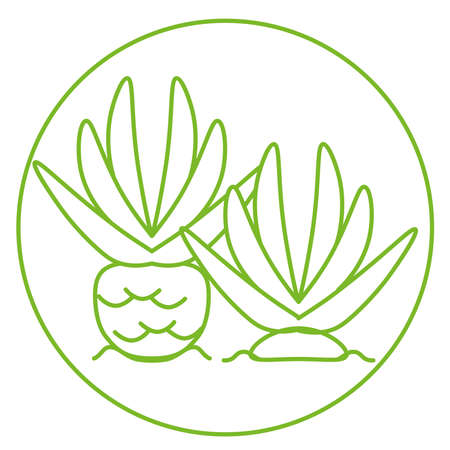 Isolated tropical site symbol landscape icon- Vectorのイラスト素材