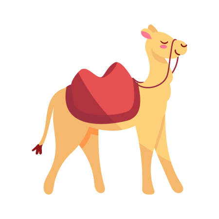 Isolated camel icon. Nativity characters icon - Vectorのイラスト素材