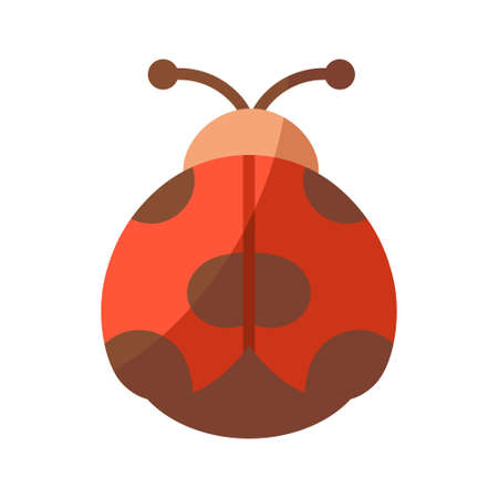 Isolated ladybug icon. Insect icon - Vector illustrationのイラスト素材