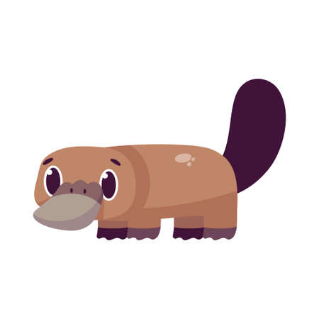 Isolated cartoon of a platypus - Vector illustrationのイラスト素材