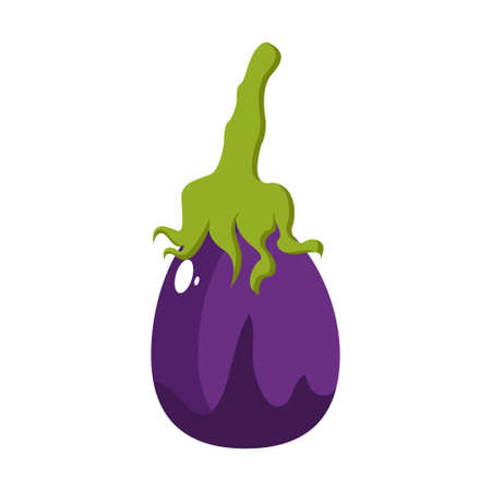 Isolated eggplant icon. Vegetable icon - Vector illustrationのイラスト素材