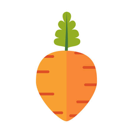 Isolated carrot icon. Vegetable icon - Vector illustrationのイラスト素材