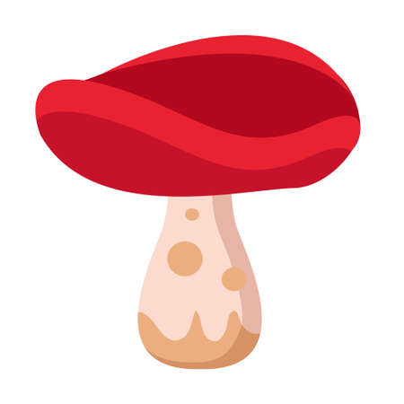 Isolated mushroom icon. Vegetable icon - Vector illustrationのイラスト素材