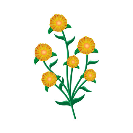 Isoalted flower in aquarelle technique Vector illustrationのイラスト素材