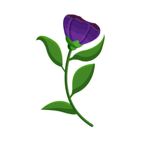 Isoalted flower in aquarelle technique Vector illustrationのイラスト素材