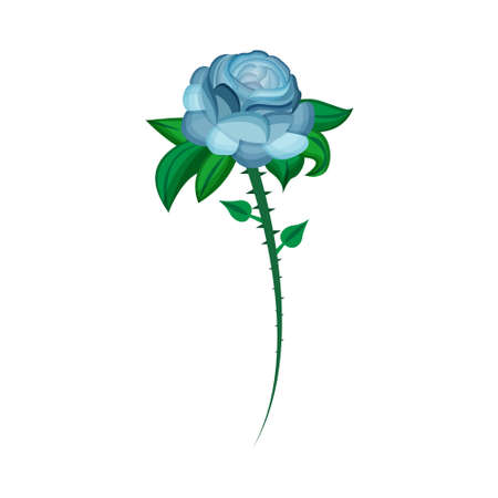 Isoalted flower in aquarelle technique Vector illustrationのイラスト素材