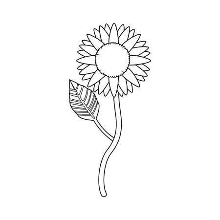 Isolated outline of a flower Vector illustrationのイラスト素材