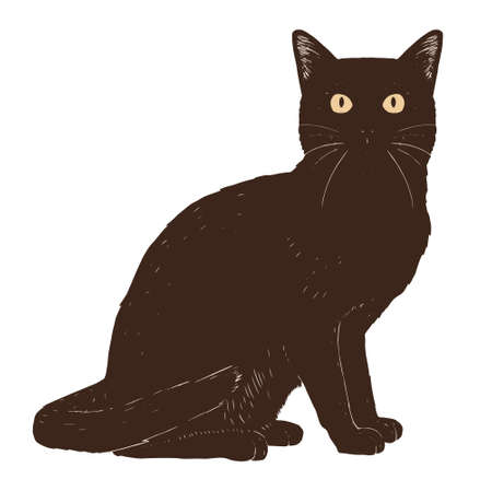 Isolated realistic cat image Vector illustration designのイラスト素材