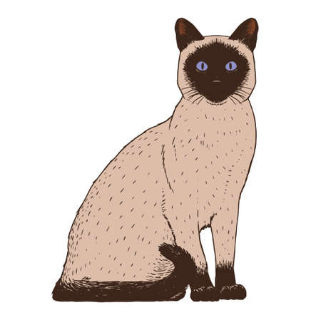 Isolated realistic cat image Vector illustration designのイラスト素材