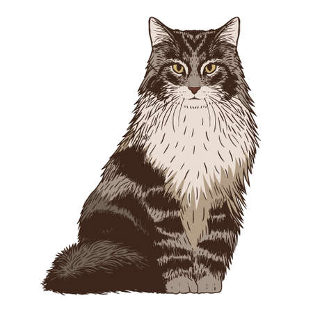 Isolated realistic cat image Vector illustration designのイラスト素材