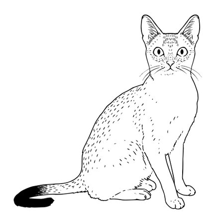 Isolated silhouette of a realistic cat Vectorのイラスト素材