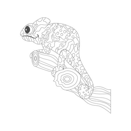 Isolated chamleon draw animated animals jungle vector illustrationのイラスト素材