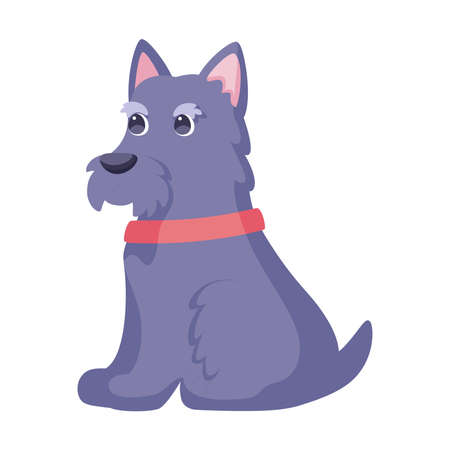 Isolated cute West Highland Black Terrier dog breed cartoon Vector illustrationのイラスト素材