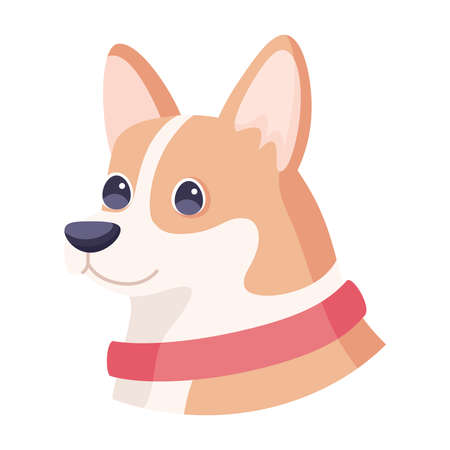 Isolated cute corgi dog breed cartoon Vector illustrationのイラスト素材