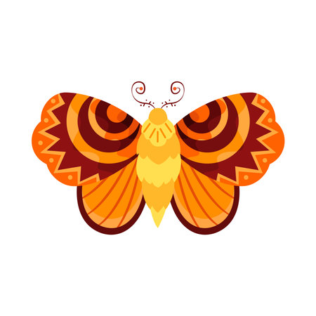 Isolated orange butterfly vector illustrationのイラスト素材