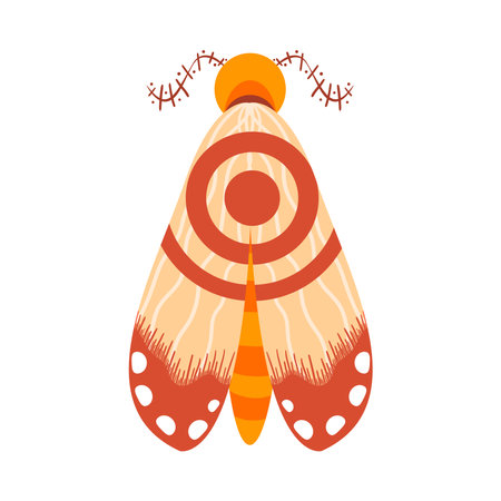 Isolated brown moth vector illustrationのイラスト素材