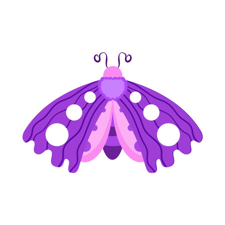 Isolated purple butterfly vector illustrationのイラスト素材