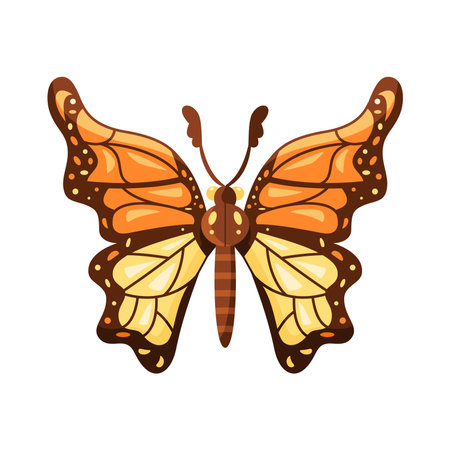 Isolated colored butterfly icon with details Vectorのイラスト素材
