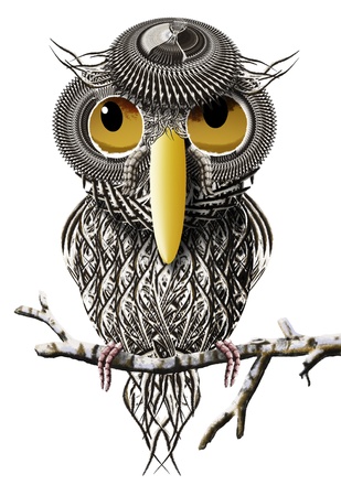 Lonely Male Bird on Birch Branch with White Backgroundの写真素材