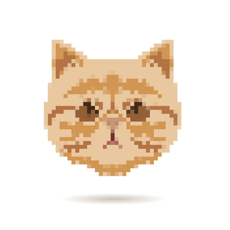 Cat portrait abstract isolated on a white backgrounds, vector illustrationのイラスト素材