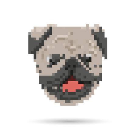 Pug portrait abstract isolated on a white backgroundのイラスト素材