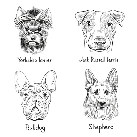 Set of hand drawn dogs, vector illustrationのイラスト素材