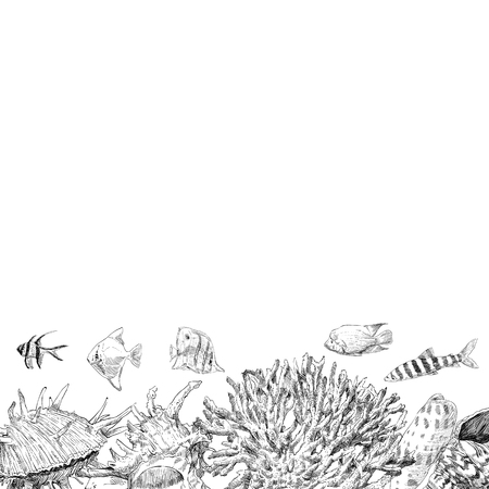 Seabed inhabitants fish and corals. Sea and ocean sketch backgrounds, hand drawn vector illustration.のイラスト素材