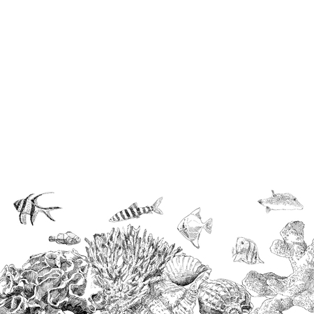Seabed inhabitants fish and corals. Sea and ocean sketch backgrounds, hand drawn vector illustration.のイラスト素材