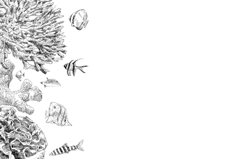 Seabed inhabitants fish and corals. Sea and ocean sketch backgrounds, hand drawn vector illustration.のイラスト素材