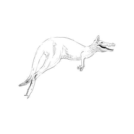 Unusual mixture of animals. Kangaroo with crocodile head. Hybrids species sketch. Fantasy art. Vector illustration clip art.のイラスト素材